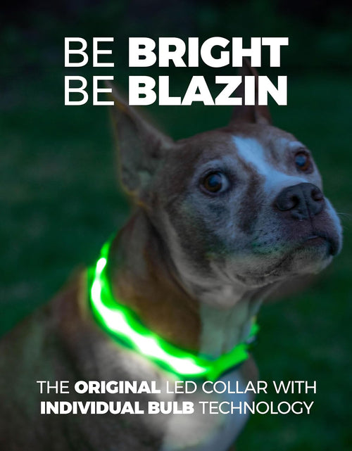 Load image into Gallery viewer, ' Safety LED Dog Collar – USB Rechargeable with Water Resistant Flashing Light
