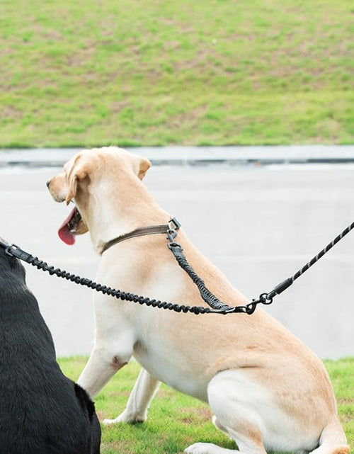 Load image into Gallery viewer, Dual Dog Leash, Double Dog Leash, 360 Swivel No Tangle Walking Leash, Shock Absorbing Bungee for Two Dogs, Black, Large (25-150 Lbs)
