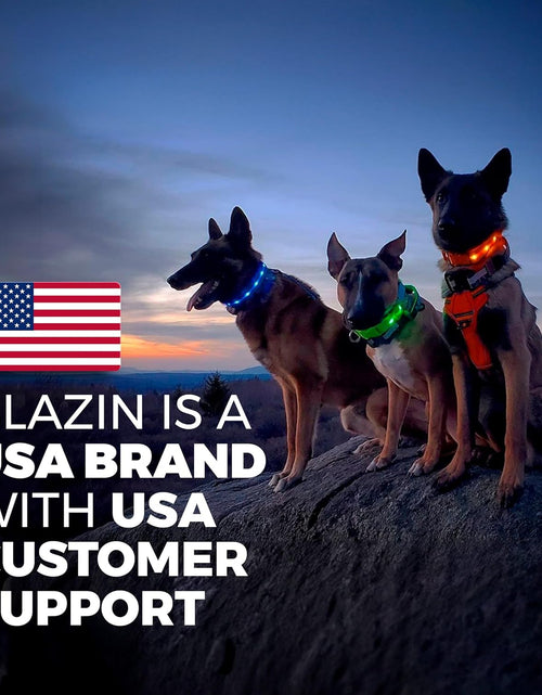 Load image into Gallery viewer, ' Safety LED Dog Collar – USB Rechargeable with Water Resistant Flashing Light
