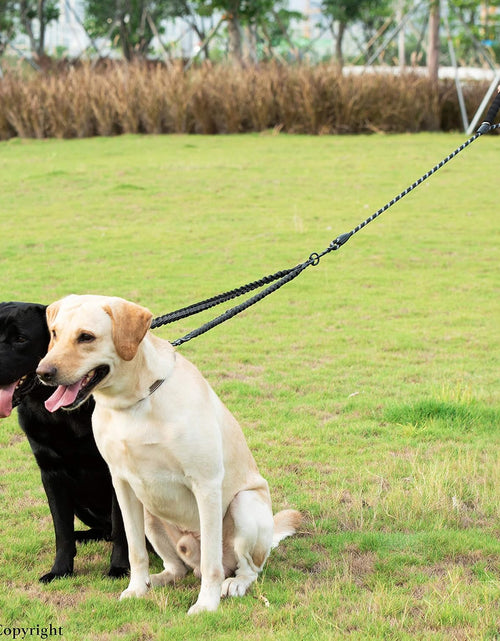 Load image into Gallery viewer, Dual Dog Leash, Double Dog Leash, 360 Swivel No Tangle Walking Leash, Shock Absorbing Bungee for Two Dogs, Black, Large (25-150 Lbs)
