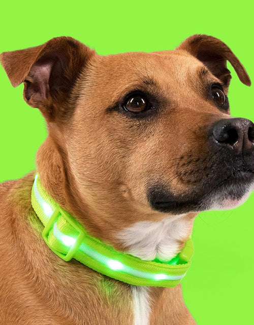 Load image into Gallery viewer, ' Safety LED Dog Collar – USB Rechargeable with Water Resistant Flashing Light
