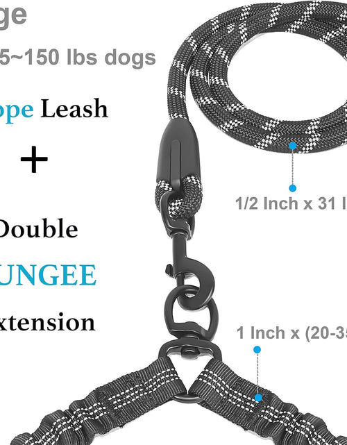 Load image into Gallery viewer, Dual Dog Leash, Double Dog Leash, 360 Swivel No Tangle Walking Leash, Shock Absorbing Bungee for Two Dogs, Black, Large (25-150 Lbs)
