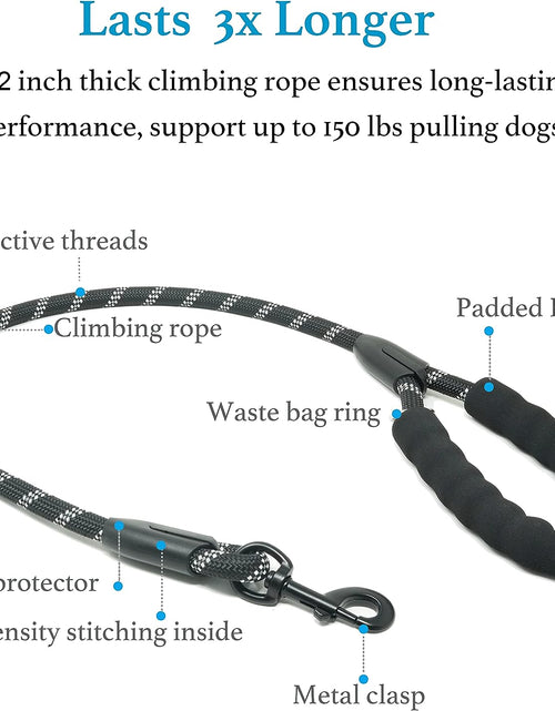 Load image into Gallery viewer, Dual Dog Leash, Double Dog Leash, 360 Swivel No Tangle Walking Leash, Shock Absorbing Bungee for Two Dogs, Black, Large (25-150 Lbs)
